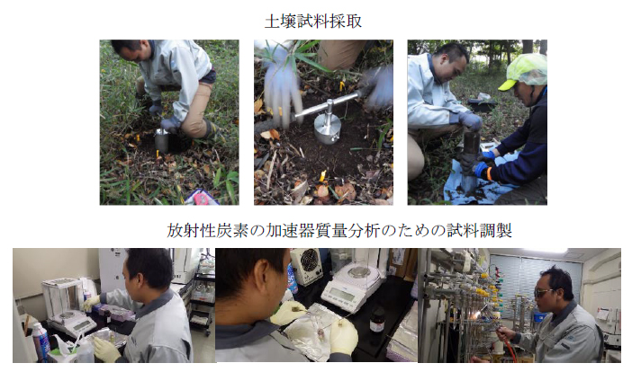 図3 アジア諸国の研究チームの若手研究者を受け入れた研修の様子(上 土壌試料採取 下 放射性炭素の加速器質量分析のための試料調製)