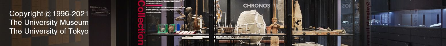 Copyright © 1996-2021 The University Museum,The University of Tokyo