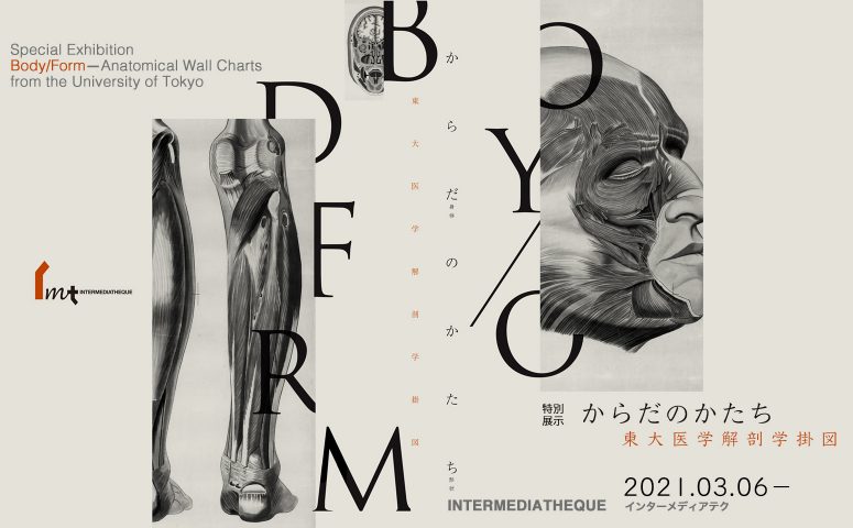 特別展示『からだのかたち——東大医学解剖学掛図』